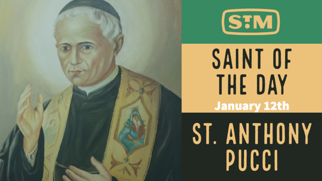 St. Anthony Pucci - St. Malachy